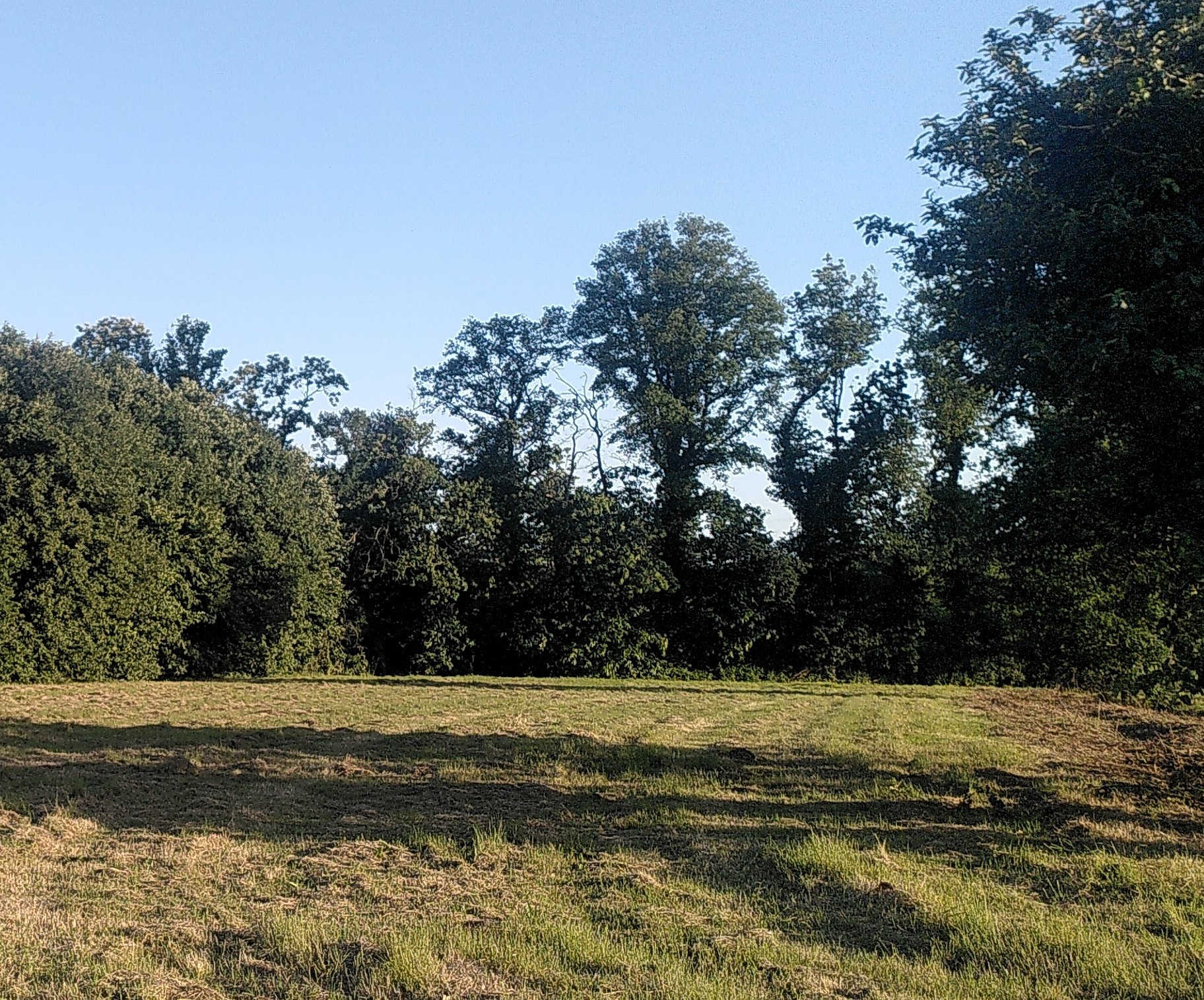 La ferme des Lisièresen été